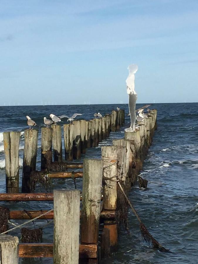 Haus Selma Zingst Exterior foto